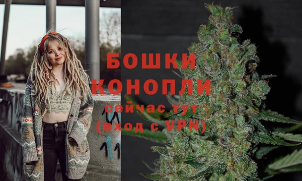 хмурый Дмитровск