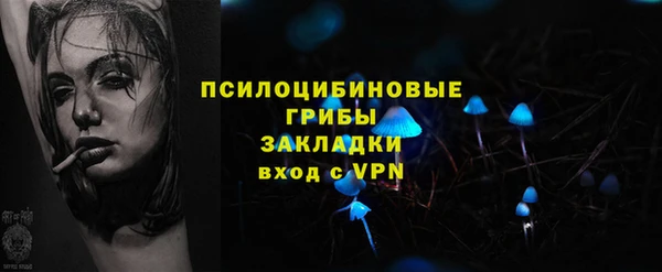 дживик Дмитров