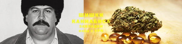 дживик Дмитров