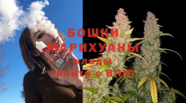хмурый Дмитровск