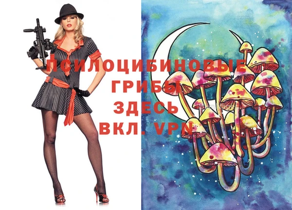 кокаин Дмитриев