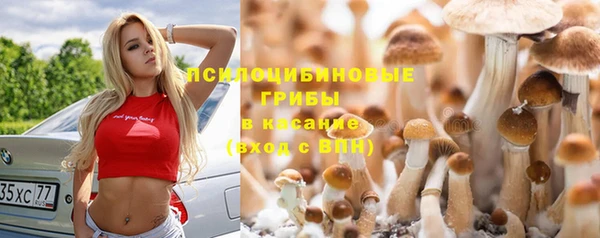 хмурый Дмитровск