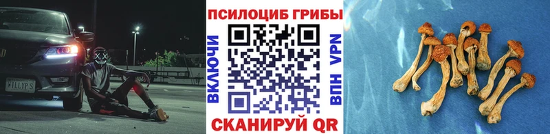 Галлюциногенные грибы Cubensis  Купить закладки  Отрадная 