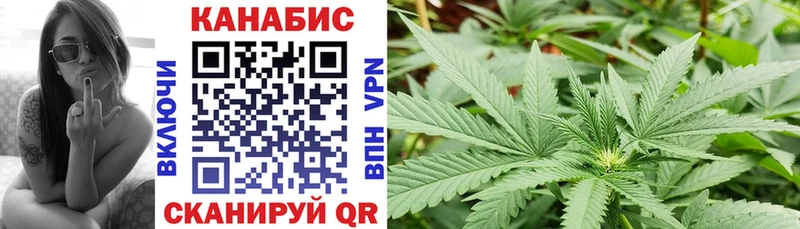 Купить закладки  Отрадная  Бошки марихуана THC 21% 